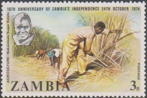 Agriculture: Nakambala Sugar Estate