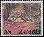 Temminck's ground pangolin (Manis temmincki)