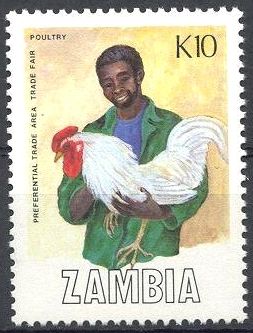Poultry