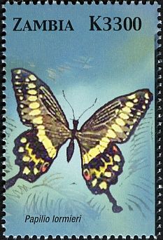 Central Emperor Swallowtail (Papilio lormieri)