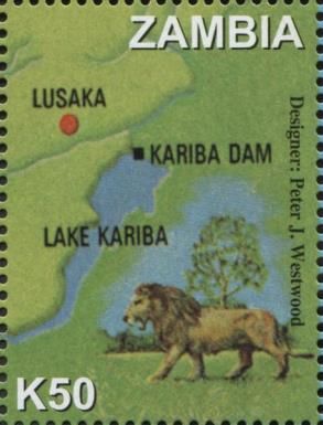 Lion (Panthera leo)