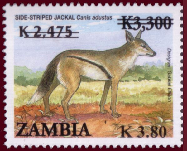 Black Lechwe (Kobus leche smithemani)