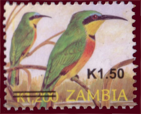Little Bee-eater (Merops pusillus)