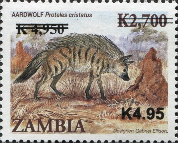 Aardwolf (Proteles cristatus)