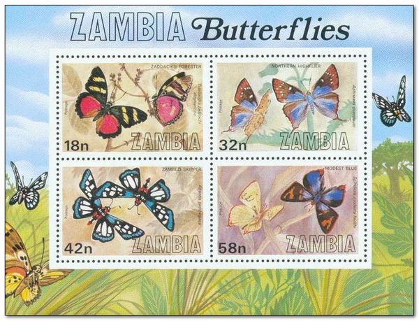 Butterflies