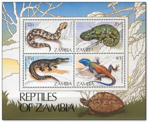 Reptiles Of Zambia