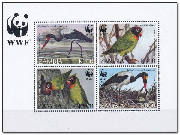 WWF Birds