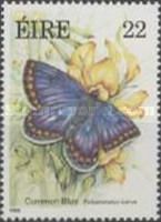 Common Blue (Polyommatus icarus)
