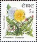 Common Dandelion (Taraxacum officinale)