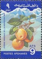 Apples (Malus pumila)