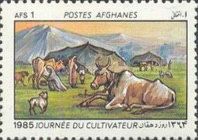 Domestic Cattle (Bos taurus), Dog (Canis lupus familiaris)