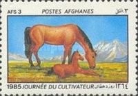 Horse (Equus ferus caballus) - Mare with Foal