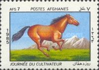 Horse (Equus ferus caballus)