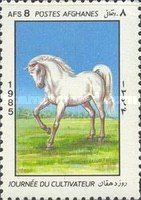 Horse (Equus ferus caballus)