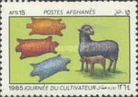 Karakul Sheep (Ovis ammon aries) and sheepskins