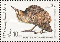 Eurasian Bittern (Botaurus stellaris)