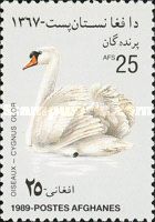 Mute Swan (Cygnus olor)