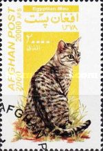 Egyptian Mau (Felis silvestris catus)