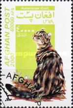 American Curl (Felis silvestris catus)