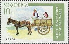 Horse Cart (Equus ferus caballus)