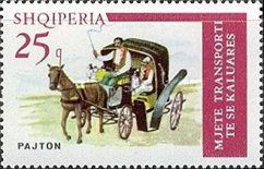 Hackney Carriage, Horse (Equus ferus caballus)