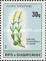 Ironwort (Sideritis raeseri)