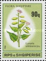 Honesty (Lunaria telekiana)
