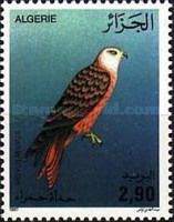 Red Kite (Milvus milvus)