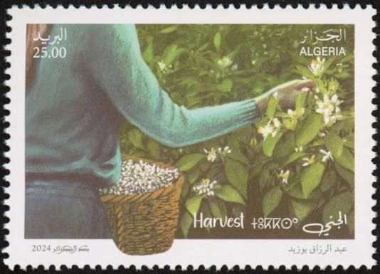 Harvesting Blossoms