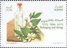 Packaging Orange Blossom Water