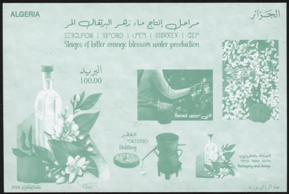 Stages of bitter orange blossom water prodution