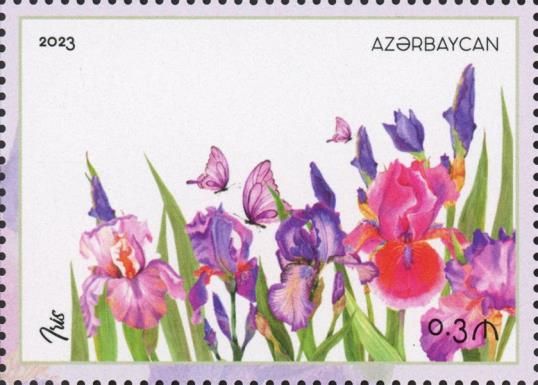 Iris