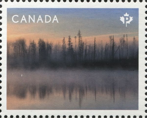 Steam Fog