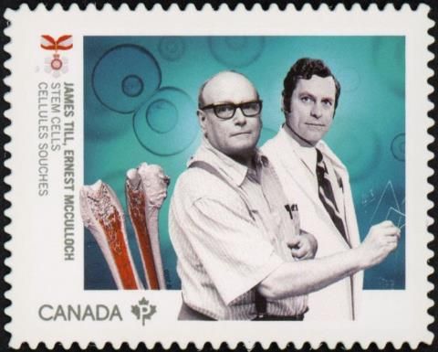James Till and Ernest McCulloch