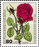 Floribunda