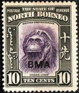 Bornean Orangutan (Pongo pygmaeus) - overprinted