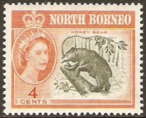 Sun Bear (Ursus malayanus)