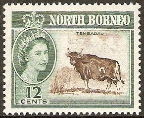 Banteng (Bos javanicus)