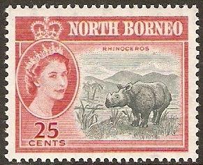 Sumatran Rhinoceros (Dicerorhinus sumatrensis)