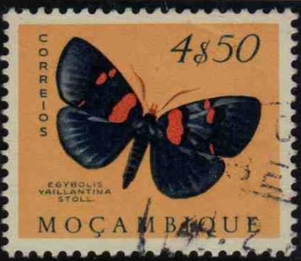 African Peach Moth (Egybolis vaillantina)