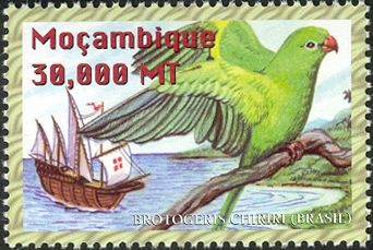 Yellow-chevroned Parakeet (Brotogeris chiriri)