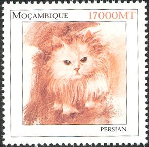 Persian Cat (Felis silvestris catus)