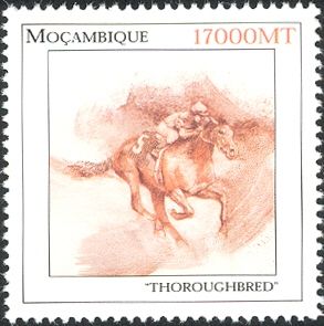 Thoroughbred (Equus ferus caballus)