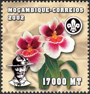 World Scout Jamboree