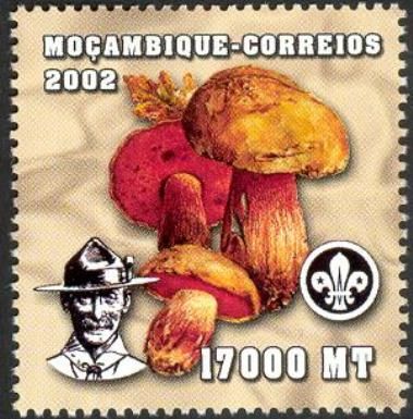 World Scout Jamboree