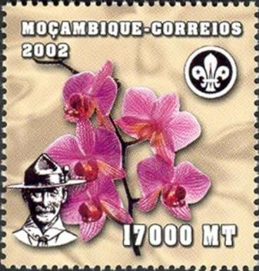 World Scout Jamboree