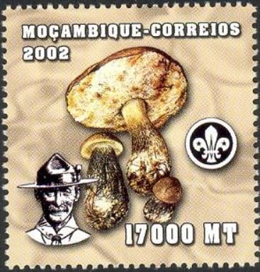World Scout Jamboree