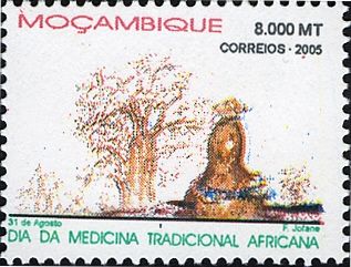 Day of the Traditional African Medicine
