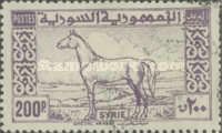 Arab Horse