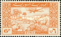 Plane and Flock of Sheep